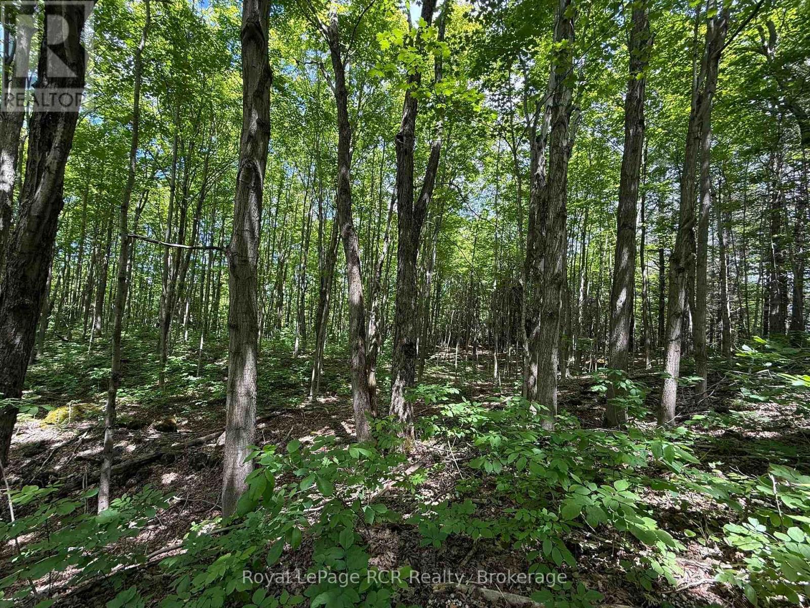 Lot 53/54 West Back Line, Chatsworth, Ontario  N0C 1H0 - Photo 19 - X13048708