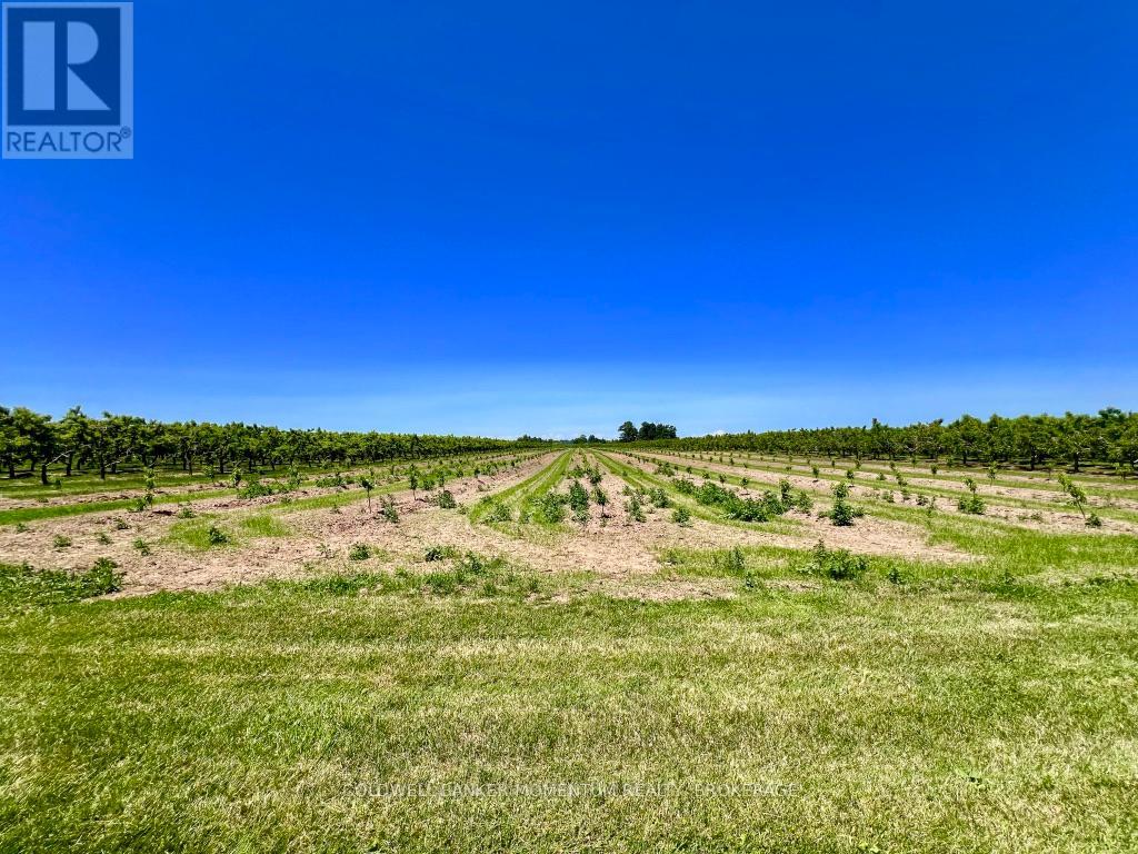 672 East West Line, Niagara-On-The-Lake, Ontario  L0S 1J0 - Photo 41 - X13507174