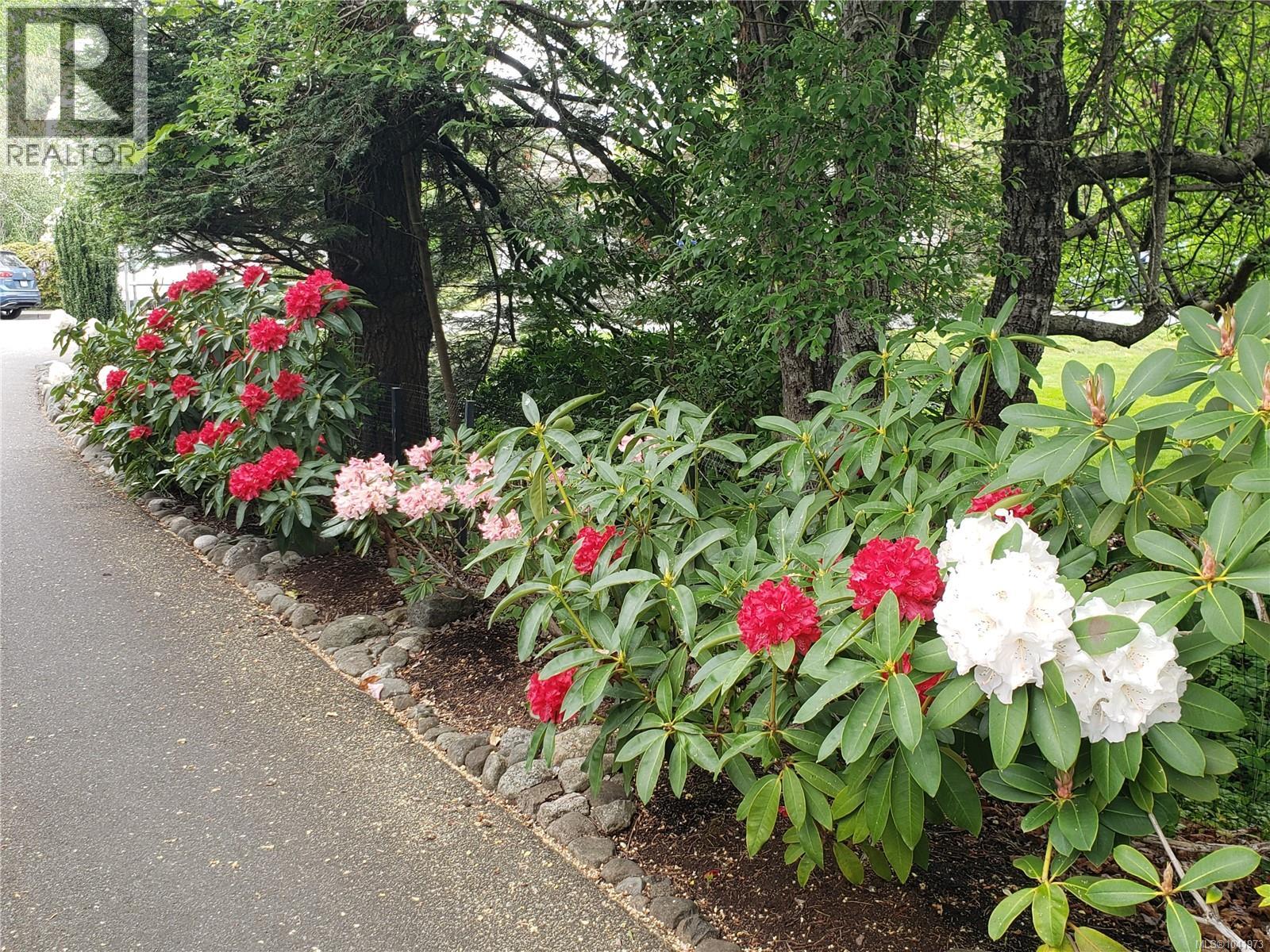 Listing image 82
