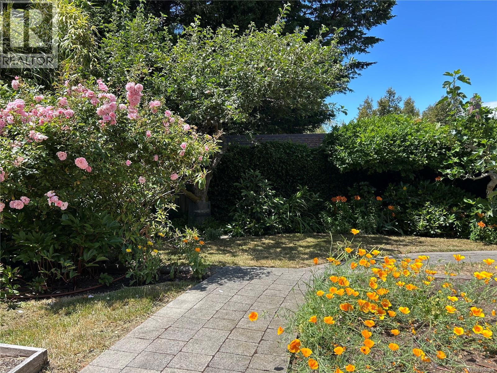 Listing image 48