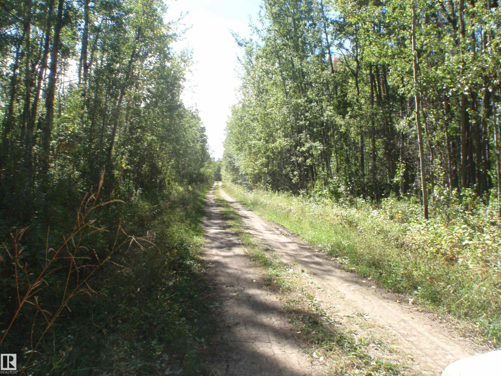Rr62 W5th: R6: T59 S22 SE, Rural Barrhead County, Alberta  T7N 1N3 - Photo 16 - E4496523