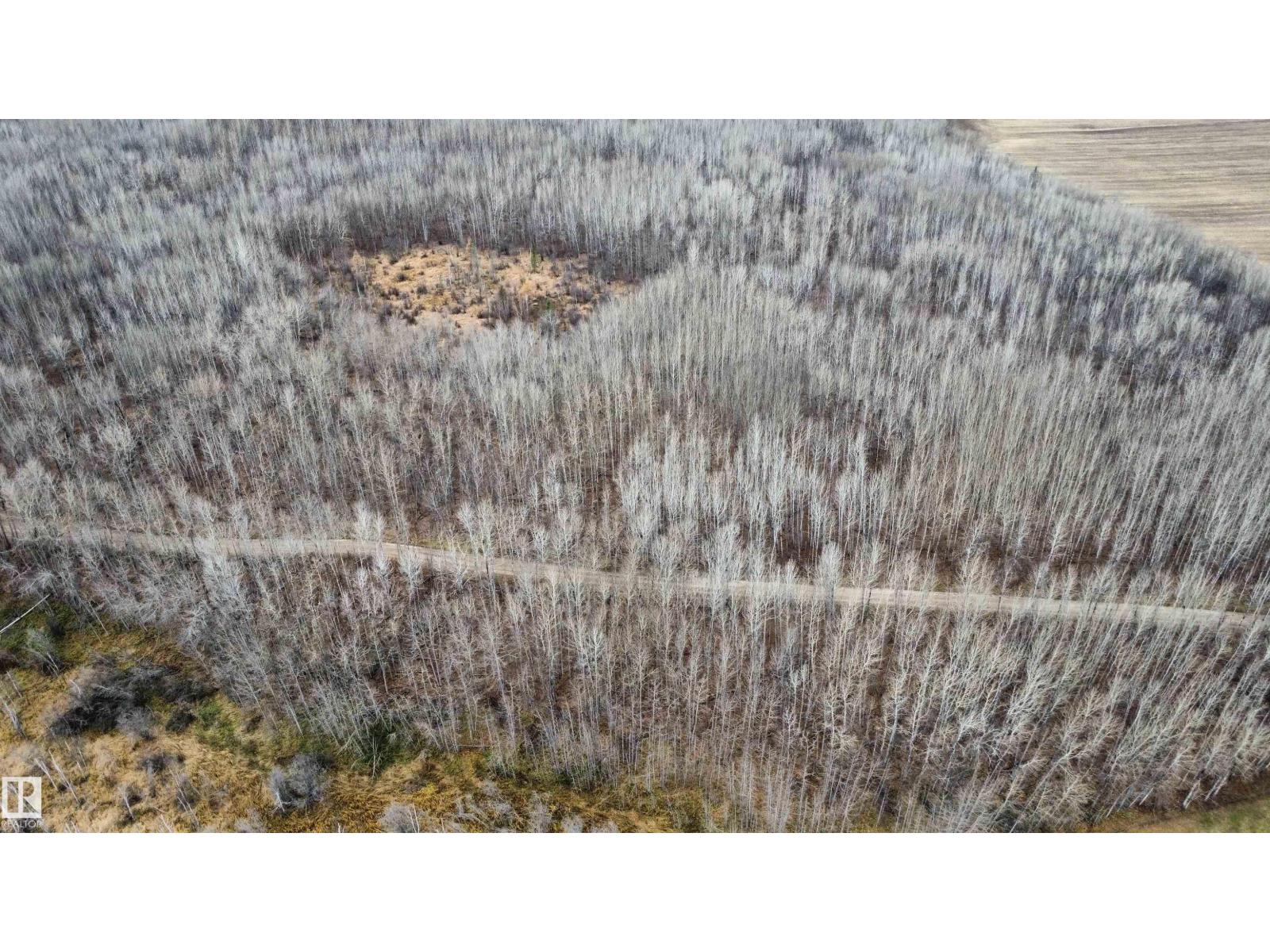 Rr62 W5th: R6: T59 S22 SE, Rural Barrhead County, Alberta  T7N 1N3 - Photo 27 - E4496523