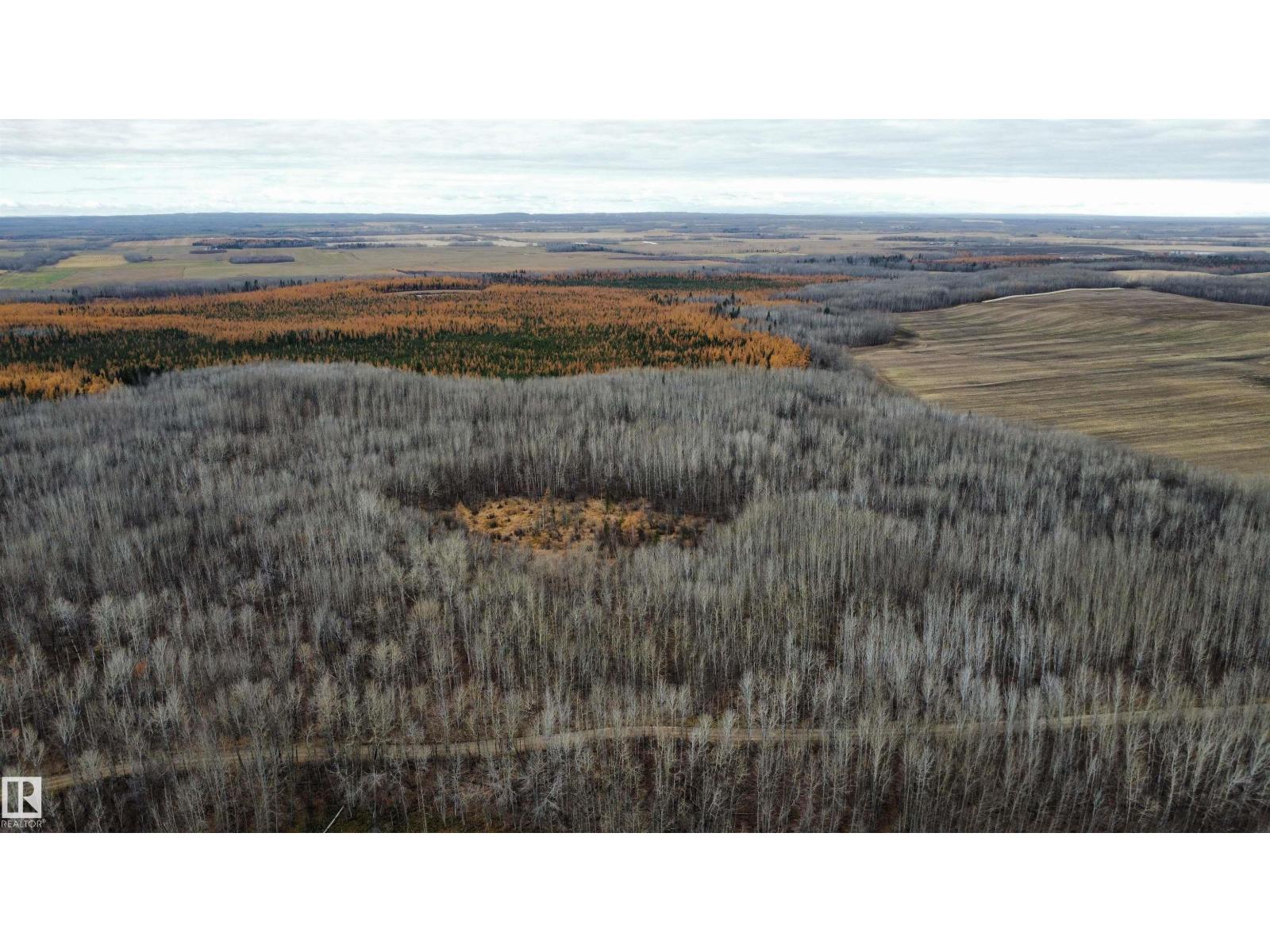 Rr62 W5th: R6: T59 S22 SE, Rural Barrhead County, Alberta  T7N 1N3 - Photo 30 - E4496523