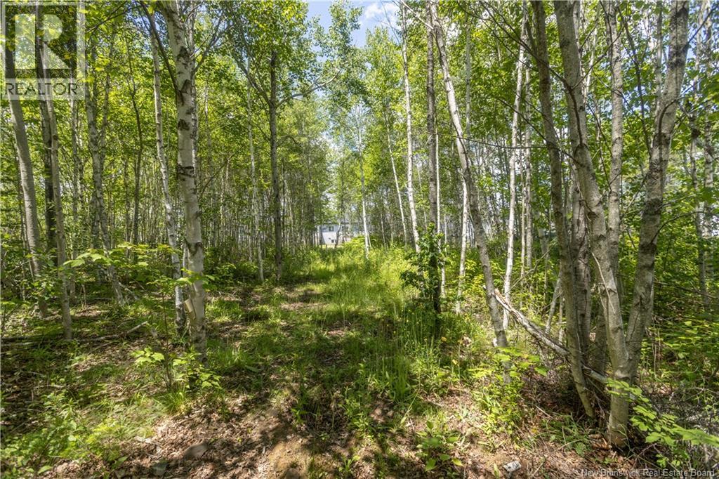 30 Beau Domaine Court, Dieppe, New Brunswick  E1A 9H5 - Photo 33 - NB142573