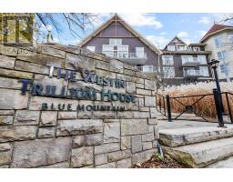 477 - 220 GORD CANNING DRIVE, blue mountains, Ontario