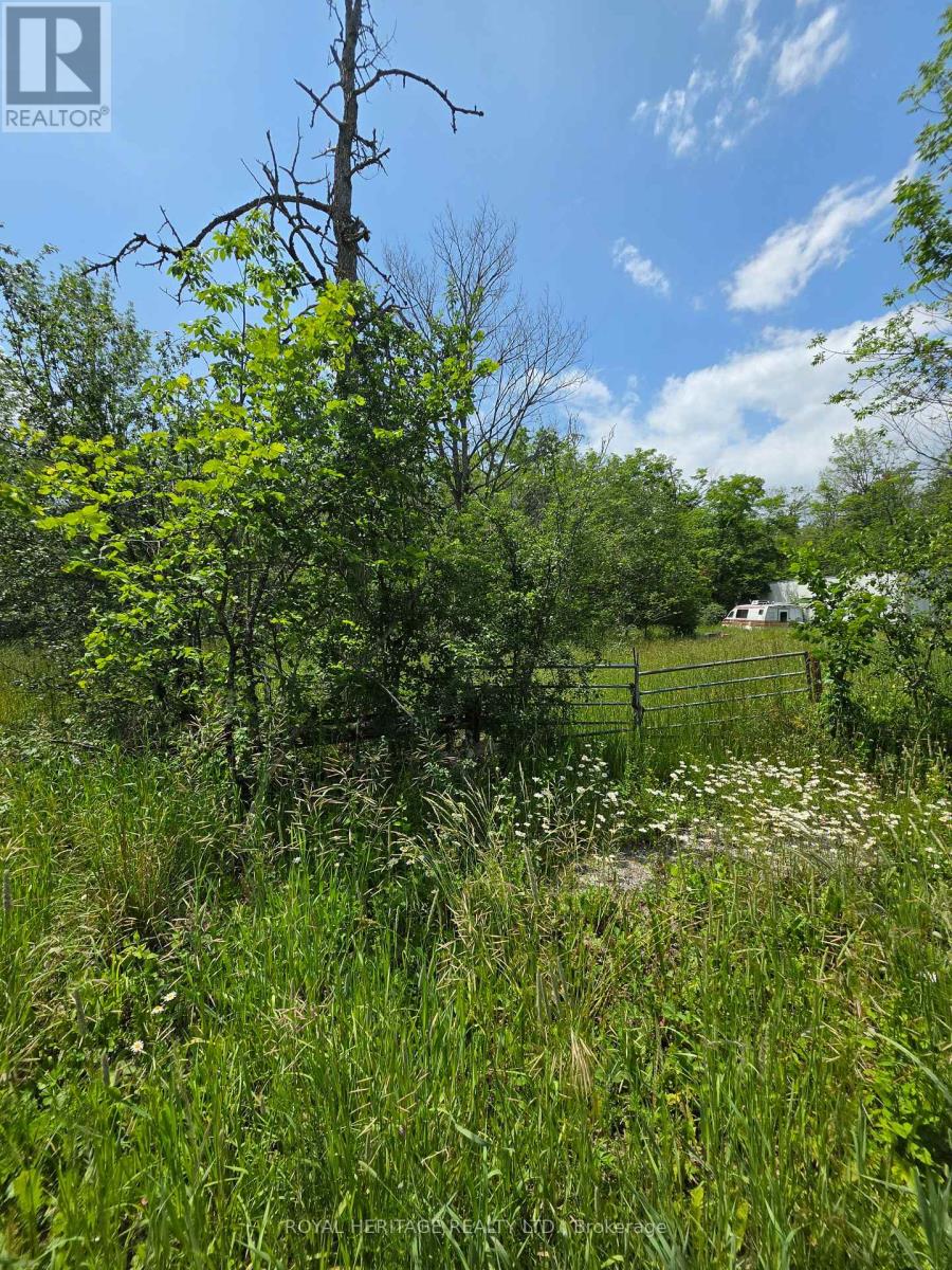 0 SCHELL LINE, Kawartha Lakes, Ontario