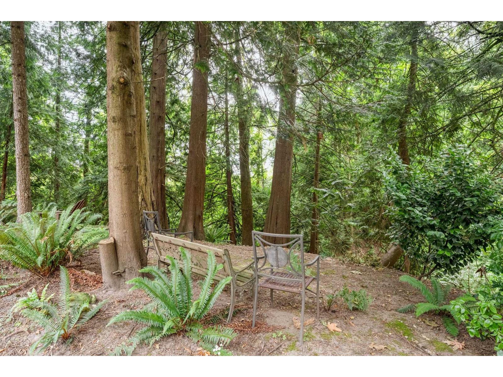 24 4847 219 Street, Langley, British Columbia  V3A 8C1 - Photo 39 - R3141774
