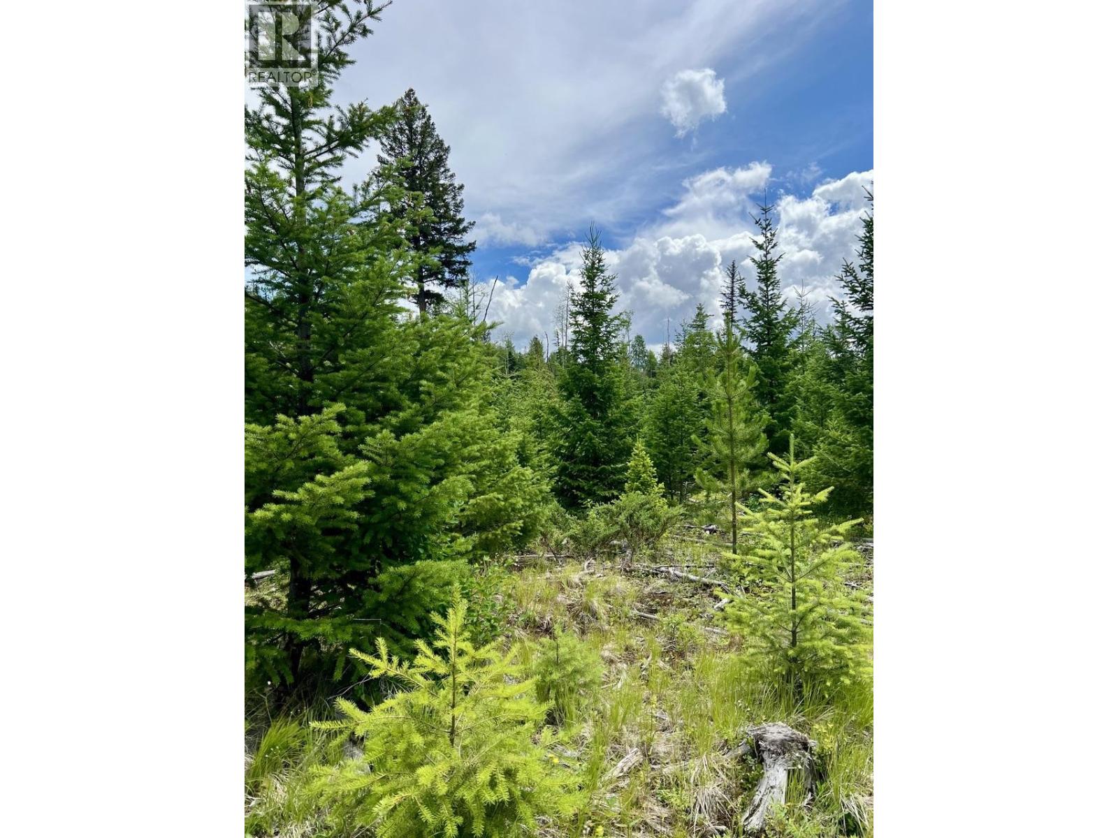 6168 Deka Heights Road, Deka Lake / Sulphurous / Hathaway Lakes, British Columbia  V0K 1X3 - Photo 24 - R3141785
