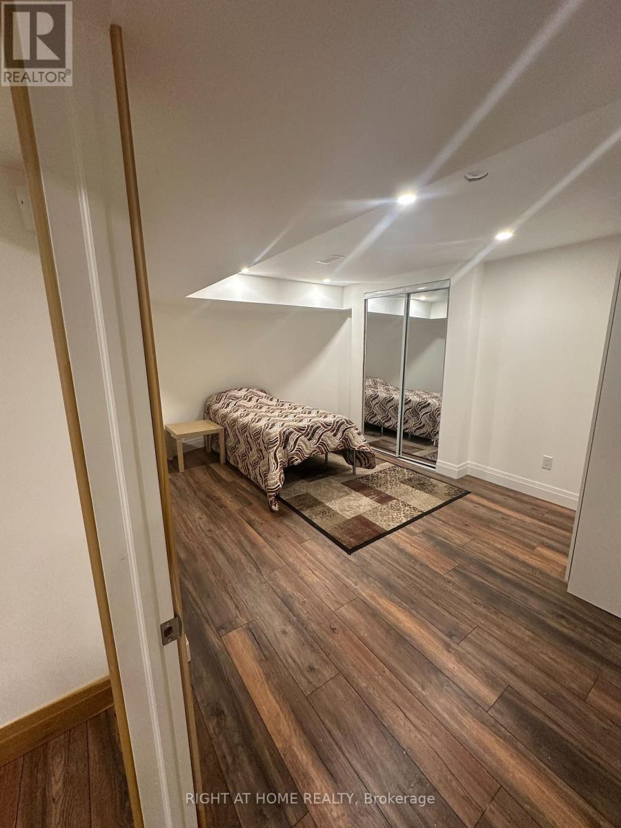 Basement - 158 Cooperage Crescent E, Richmond Hill, Ontario  L4C 9K8 - Photo 11 - N13509884