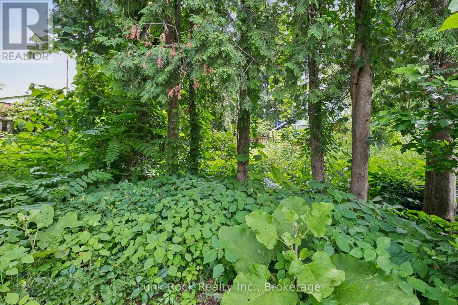 18 Lochearne Street, Hamilton, Ontario  L8R 1V8 - Photo 30 - X13509892