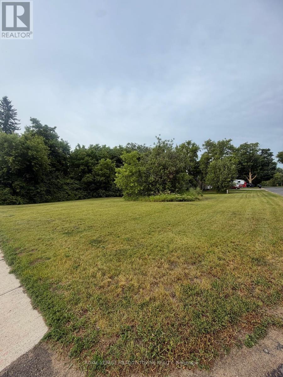29 Depot Street, Adjala-Tosorontio, Ontario  L0M 1M0 - Photo 5 - N13467804