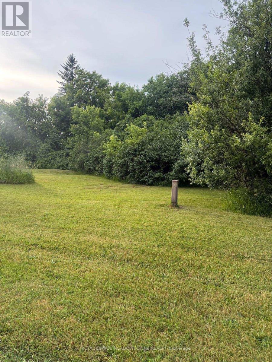 29 Depot Street, Adjala-Tosorontio, Ontario  L0M 1M0 - Photo 7 - N13467804