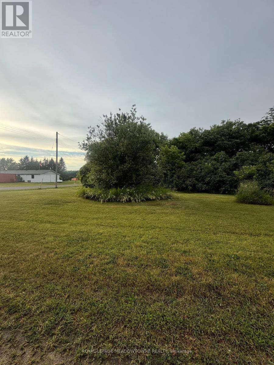 29 Depot Street, Adjala-Tosorontio, Ontario  L0M 1M0 - Photo 8 - N13467804