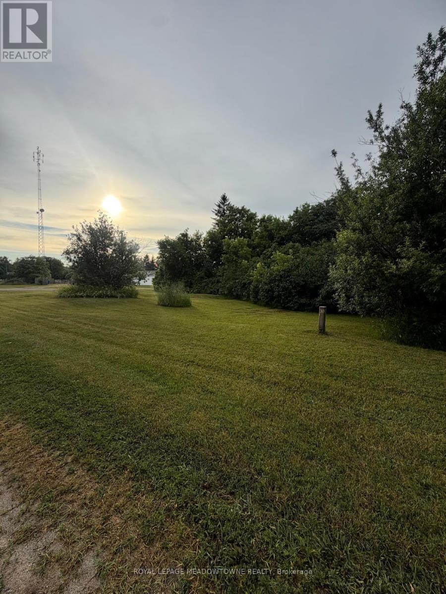 29 Depot Street, Adjala-Tosorontio, Ontario  L0M 1M0 - Photo 4 - N13467804