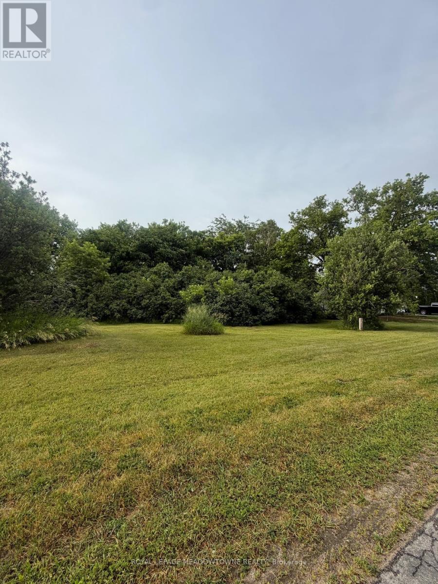 29 Depot Street, Adjala-Tosorontio, Ontario  L0M 1M0 - Photo 6 - N13467804