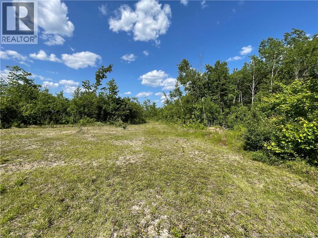 Route 11, Saint Margarets, New Brunswick  E1N 5C5 - Photo 8 - NB132973