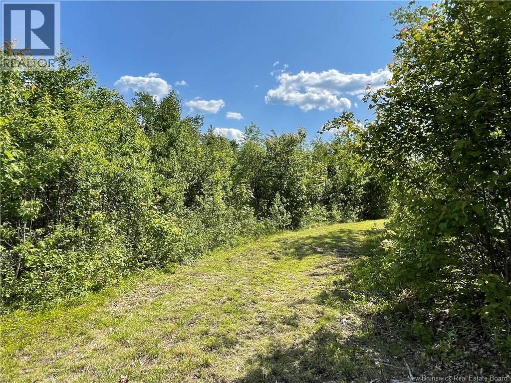 Route 11, Saint Margarets, New Brunswick  E1N 5C5 - Photo 1 - NB132973