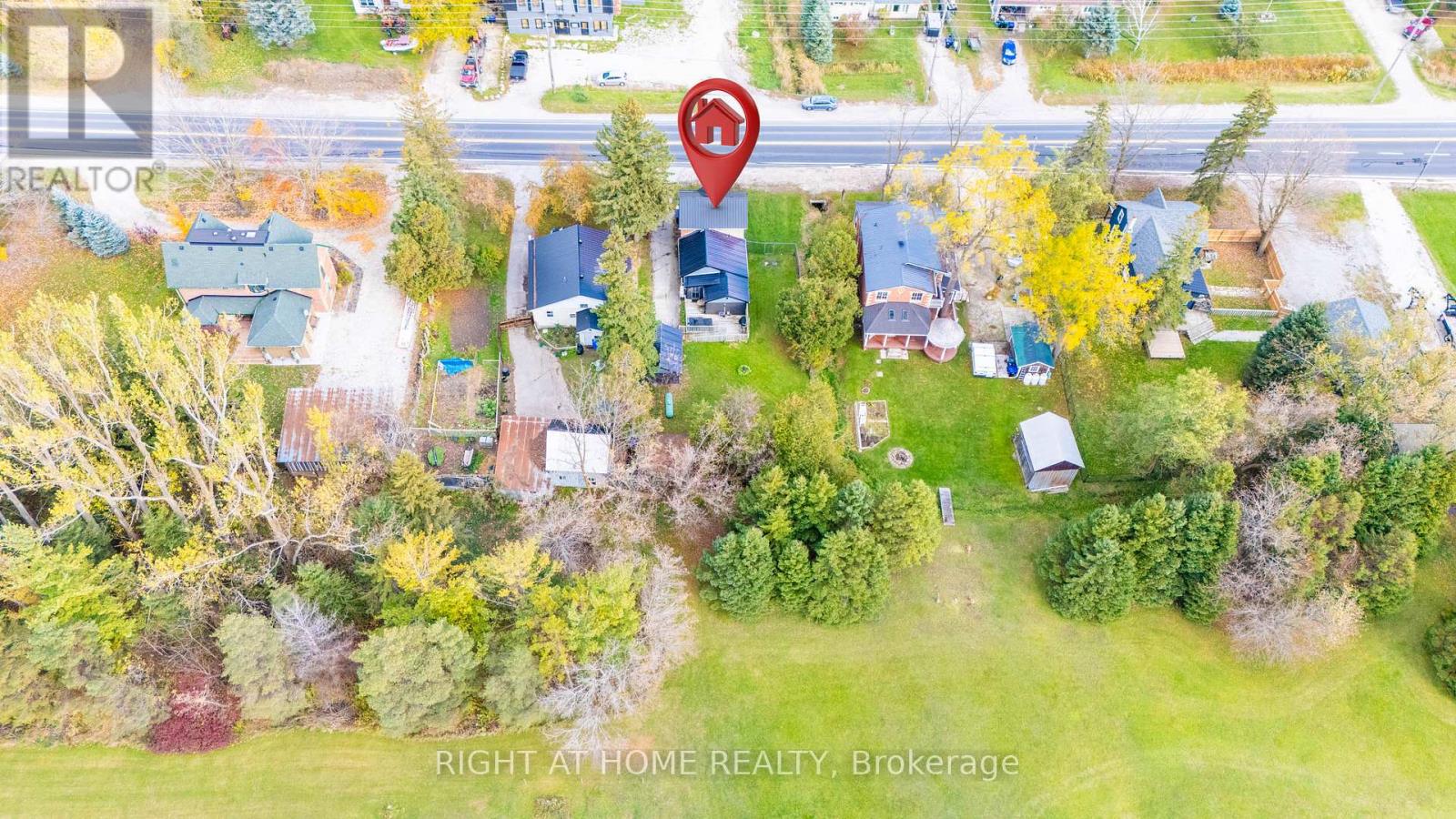 2834 County Road 124 Road W, Clearview, Ontario  L0M 1H0 - Photo 3 - S13511288