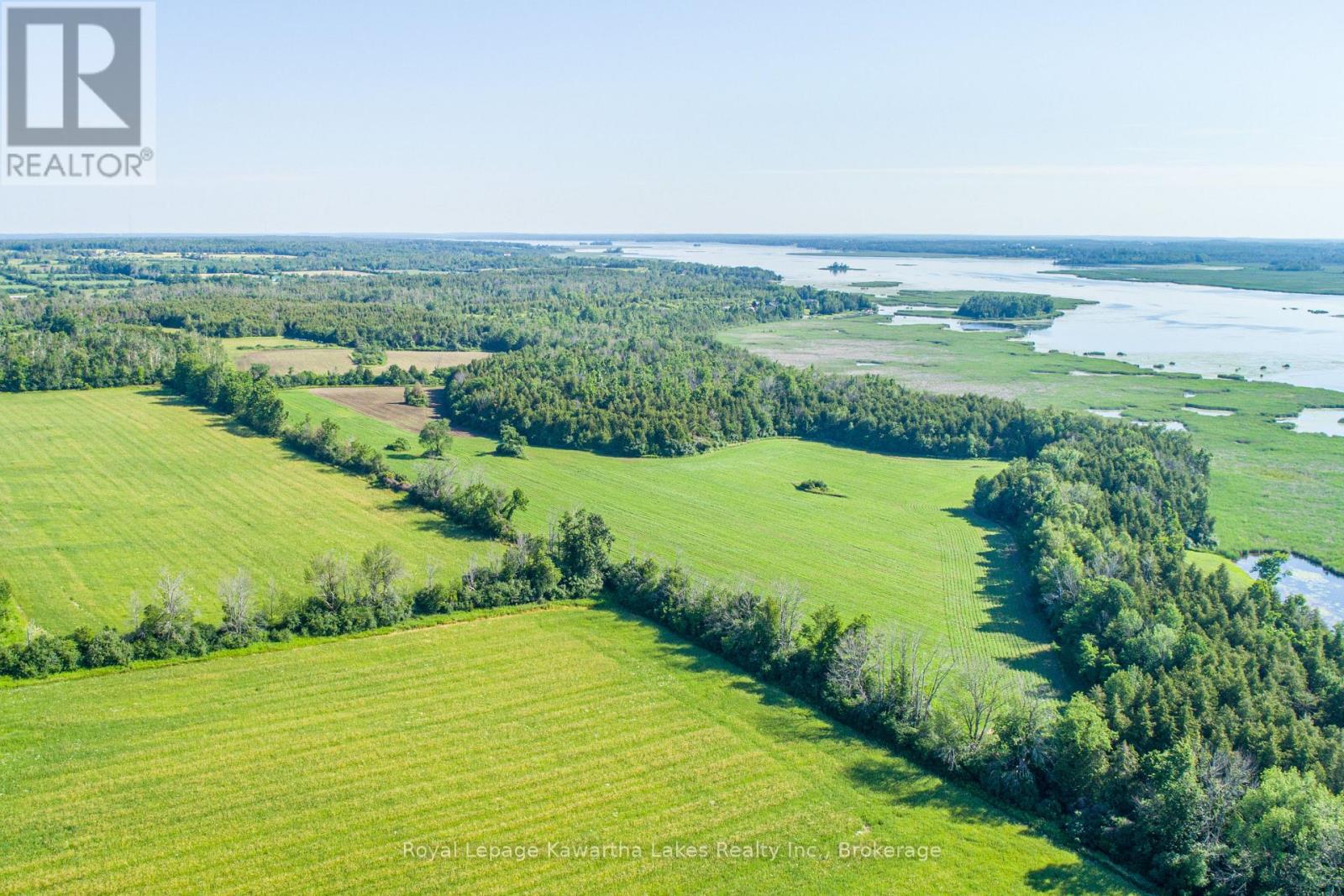 36 Spen Haven Road, Kawartha Lakes, Ontario  K9V 0K3 - Photo 4 - X13505708