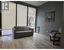 101 - 253 DANFORTH AVENUE, Toronto, Ontario