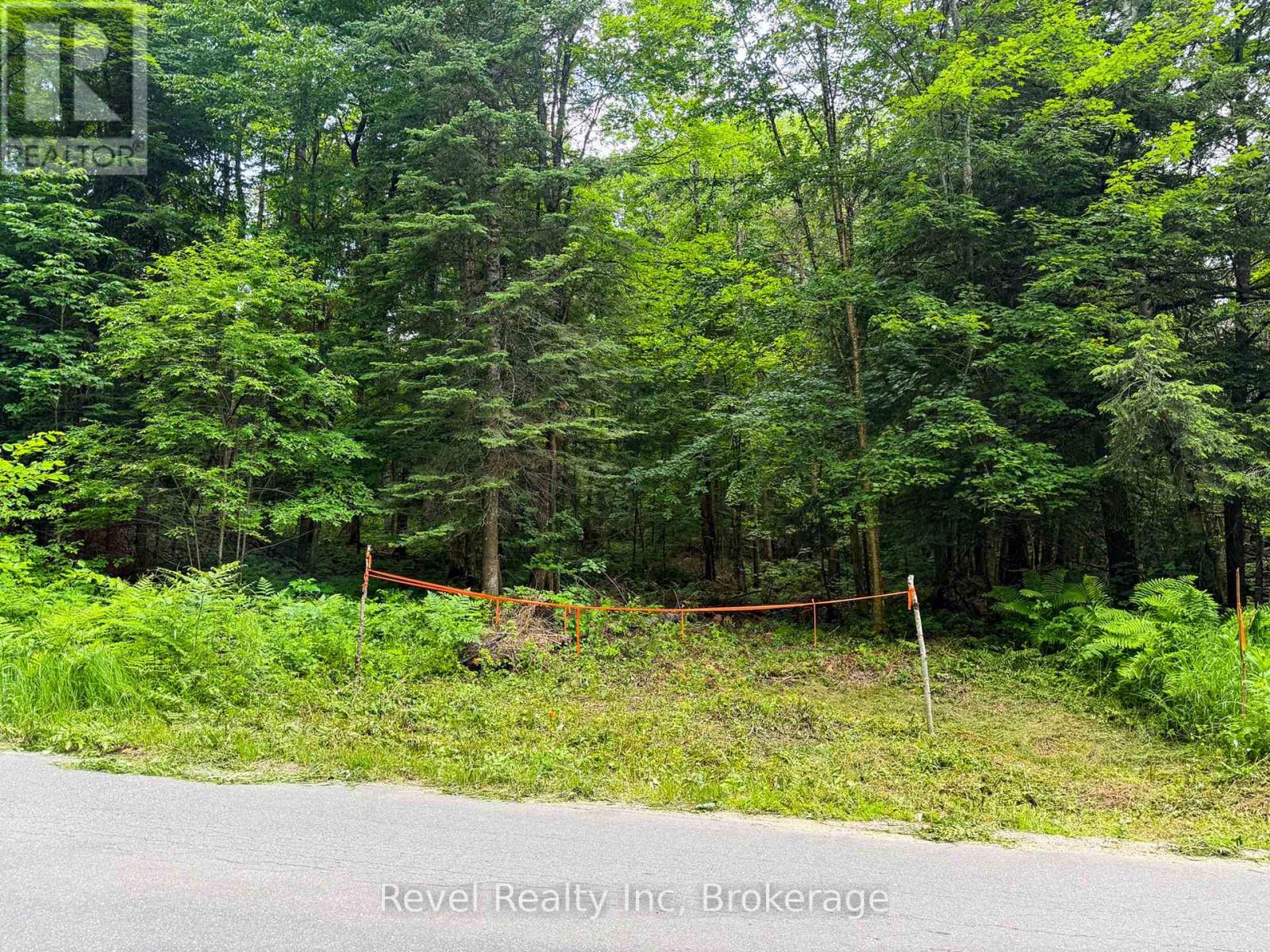 Lot 1 Bird Lake Road, Bracebridge, Ontario  P1L 1X1 - Photo 2 - X13511938