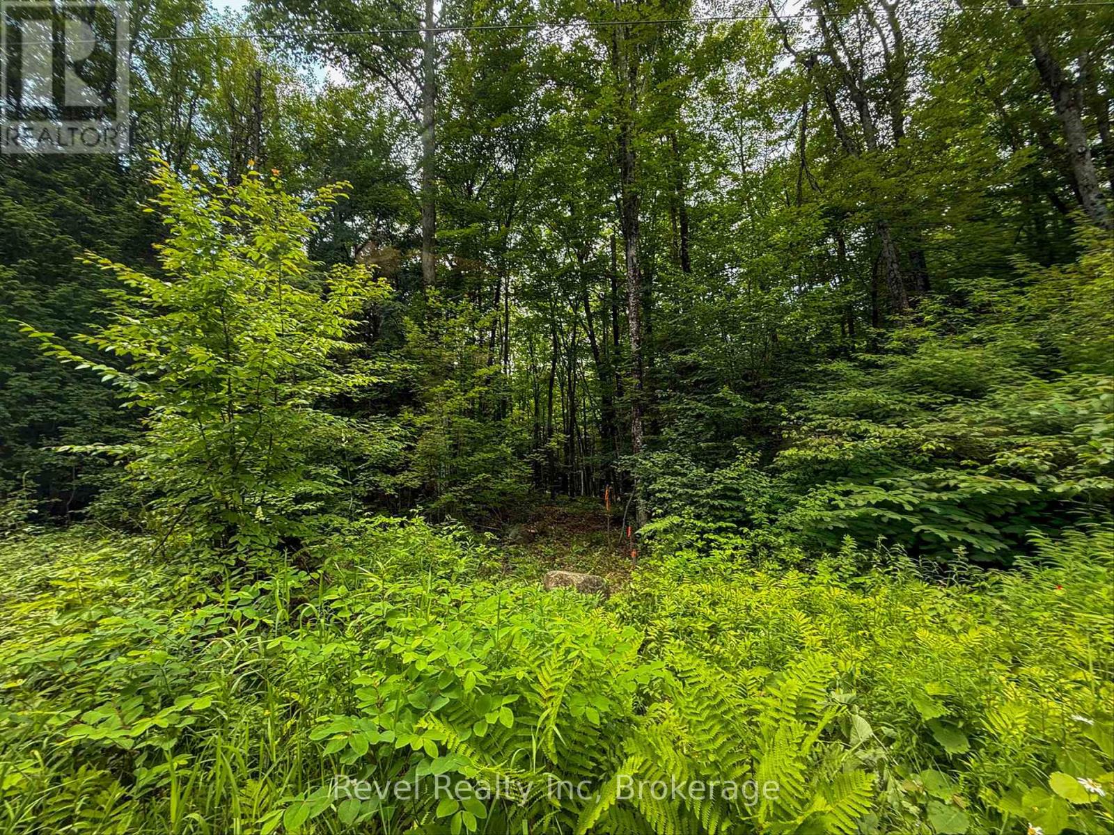 Lot 1 Bird Lake Road, Bracebridge, Ontario  P1L 1X1 - Photo 4 - X13511938