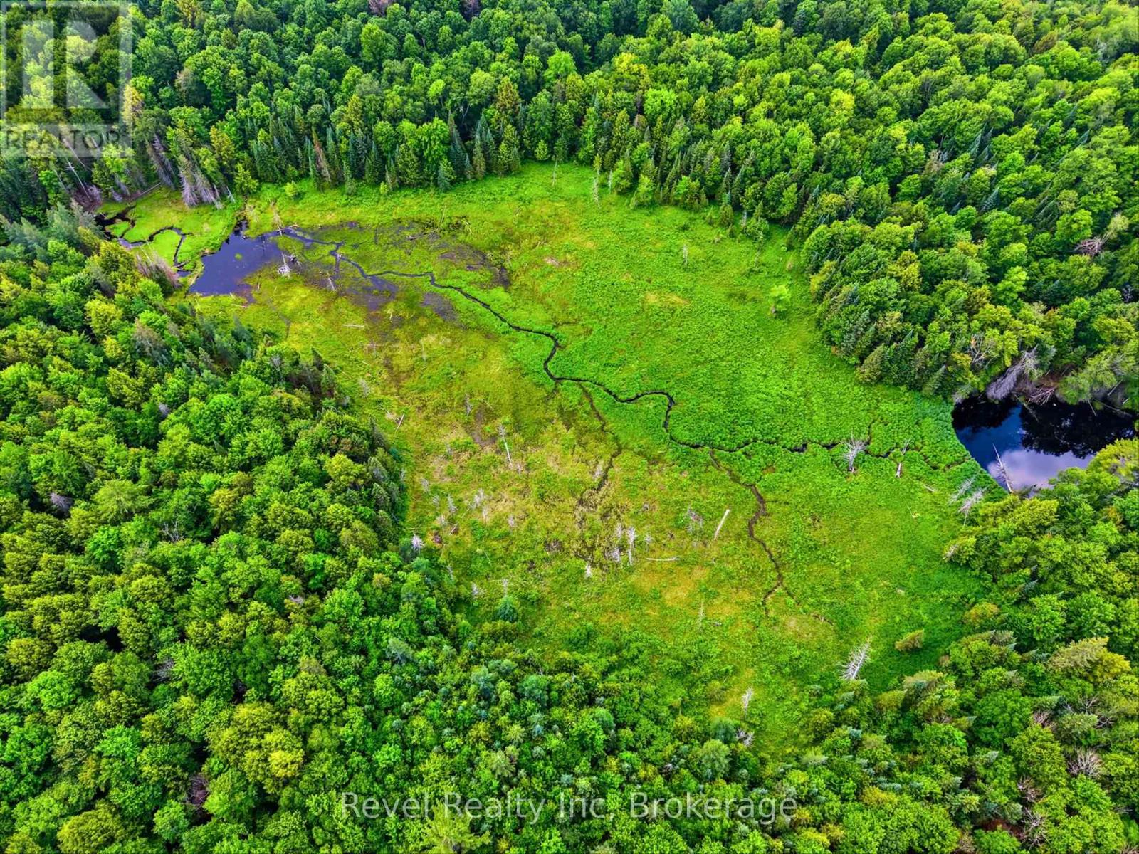Lot 1 Bird Lake Road, Bracebridge, Ontario  P1L 1X1 - Photo 6 - X13511938