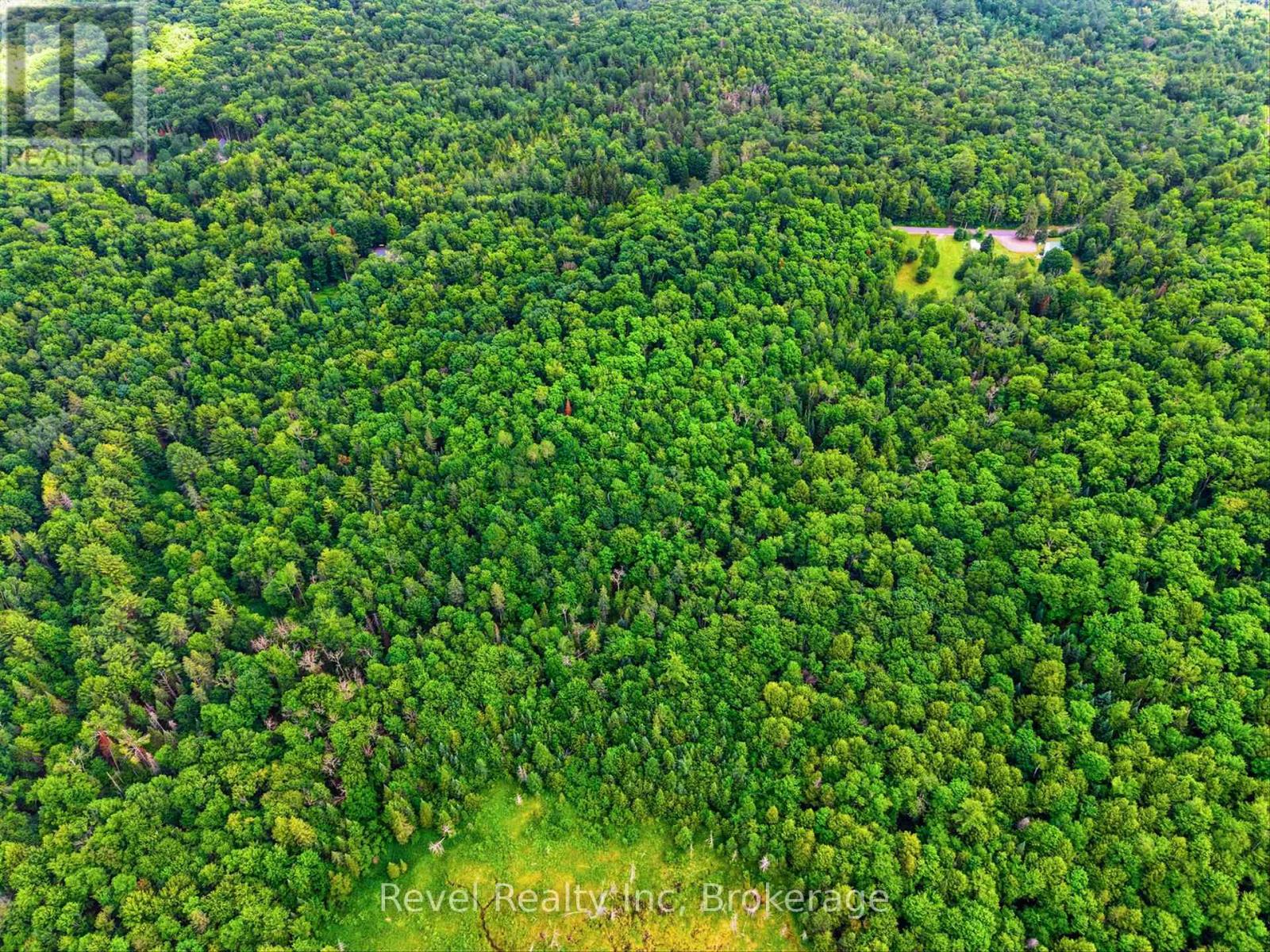 Lot 1 Bird Lake Road, Bracebridge, Ontario  P1L 1X1 - Photo 7 - X13511938