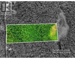 LOT 1 BIRD LAKE ROAD, bracebridge (oakley), Ontario