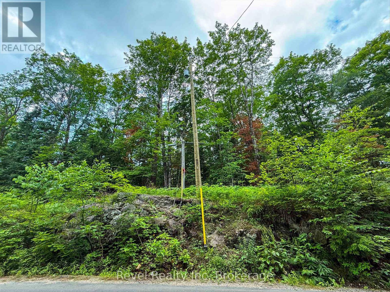 Lot 2 Bird Lake Road, Bracebridge, Ontario  P1L 1X1 - Photo 10 - X13512070