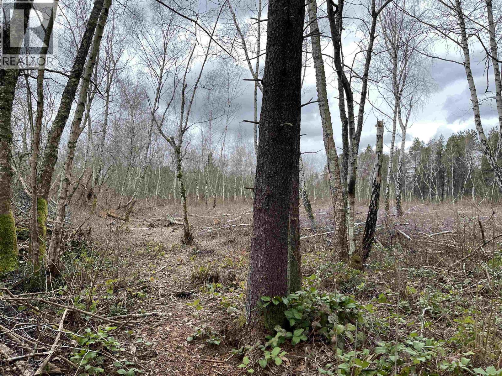 Lot 25 Blundell Road, Richmond, British Columbia  V6Y 1K9 - Photo 7 - R3141806