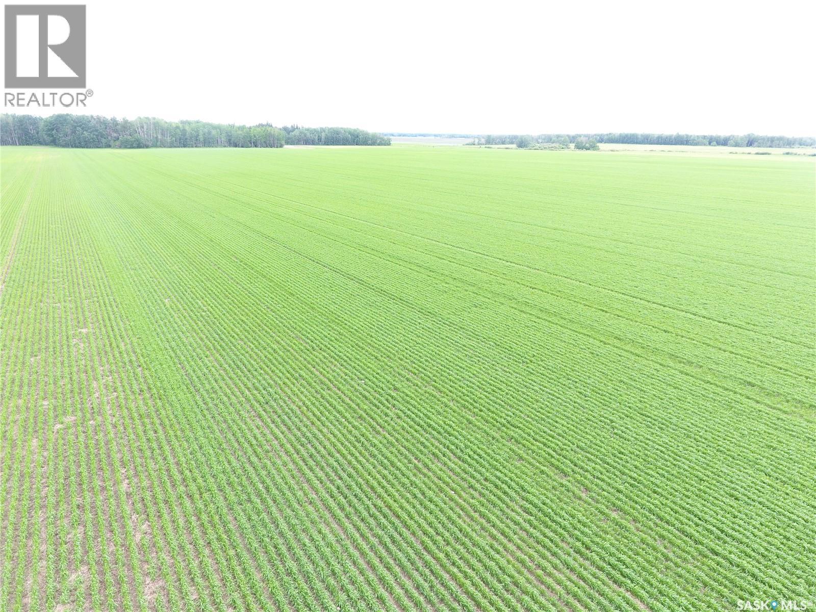 Brick Land, Hudson Bay Rm No. 394, Saskatchewan  S0E 0Y0 - Photo 11 - SK041212