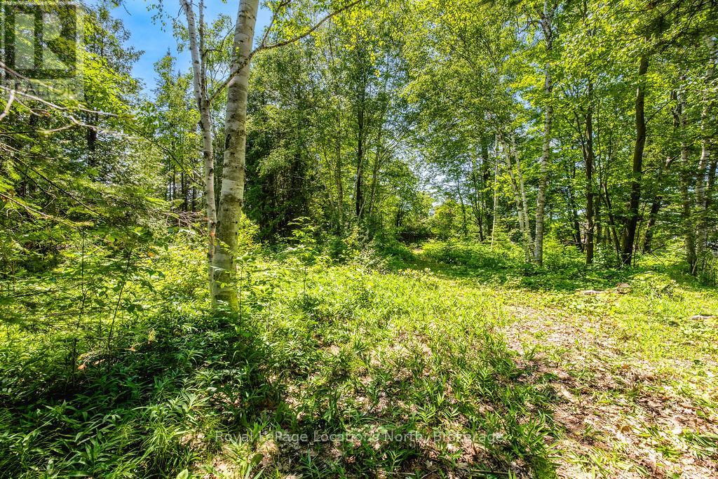88 Smallman Drive, Wasaga Beach, Ontario  L9Z 1L1 - Photo 8 - S13512430