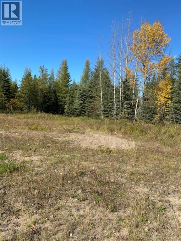 Lot 32 Flats Road Road, Whitecourt, Alberta  T7S 0E5 - Photo 2 - A1259389
