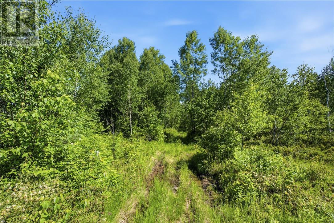 0 Forestview Court, Wahnapitae, Ontario  P0M 3C0 - Photo 3 - 2128919
