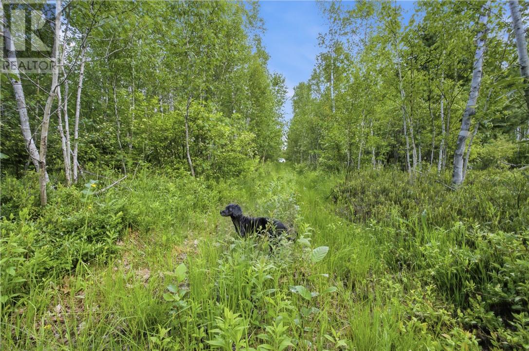 0 Forestview Court, Wahnapitae, Ontario  P0M 3C0 - Photo 4 - 2128919