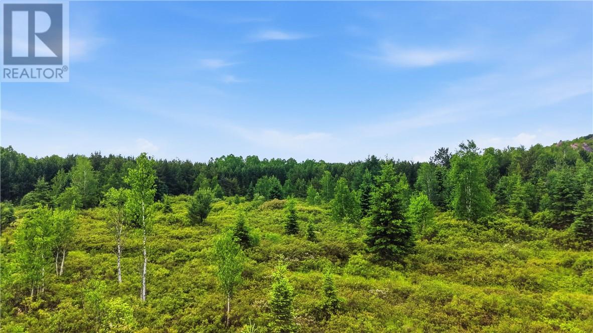 0 Forestview Court, Wahnapitae, Ontario  P0M 3C0 - Photo 5 - 2128919