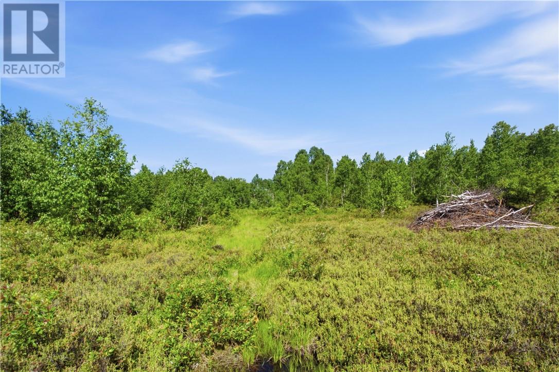 0 Forestview Court, Wahnapitae, Ontario  P0M 3C0 - Photo 8 - 2128919