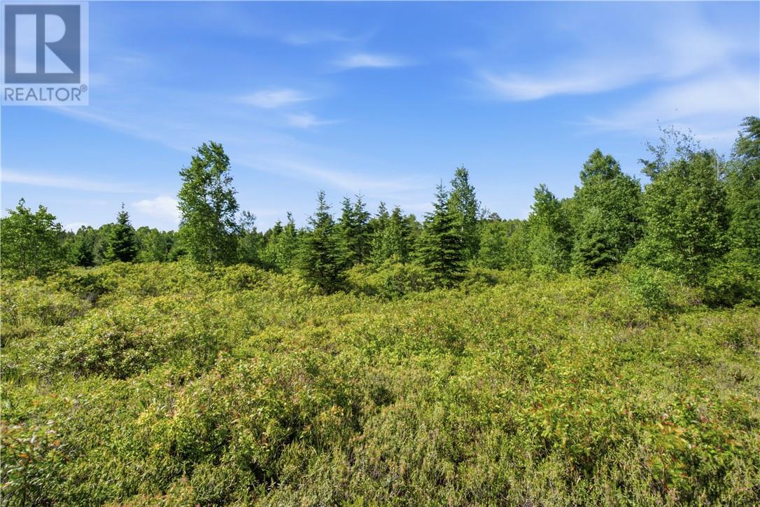 0 Forestview Court, Wahnapitae, Ontario  P0M 3C0 - Photo 9 - 2128919