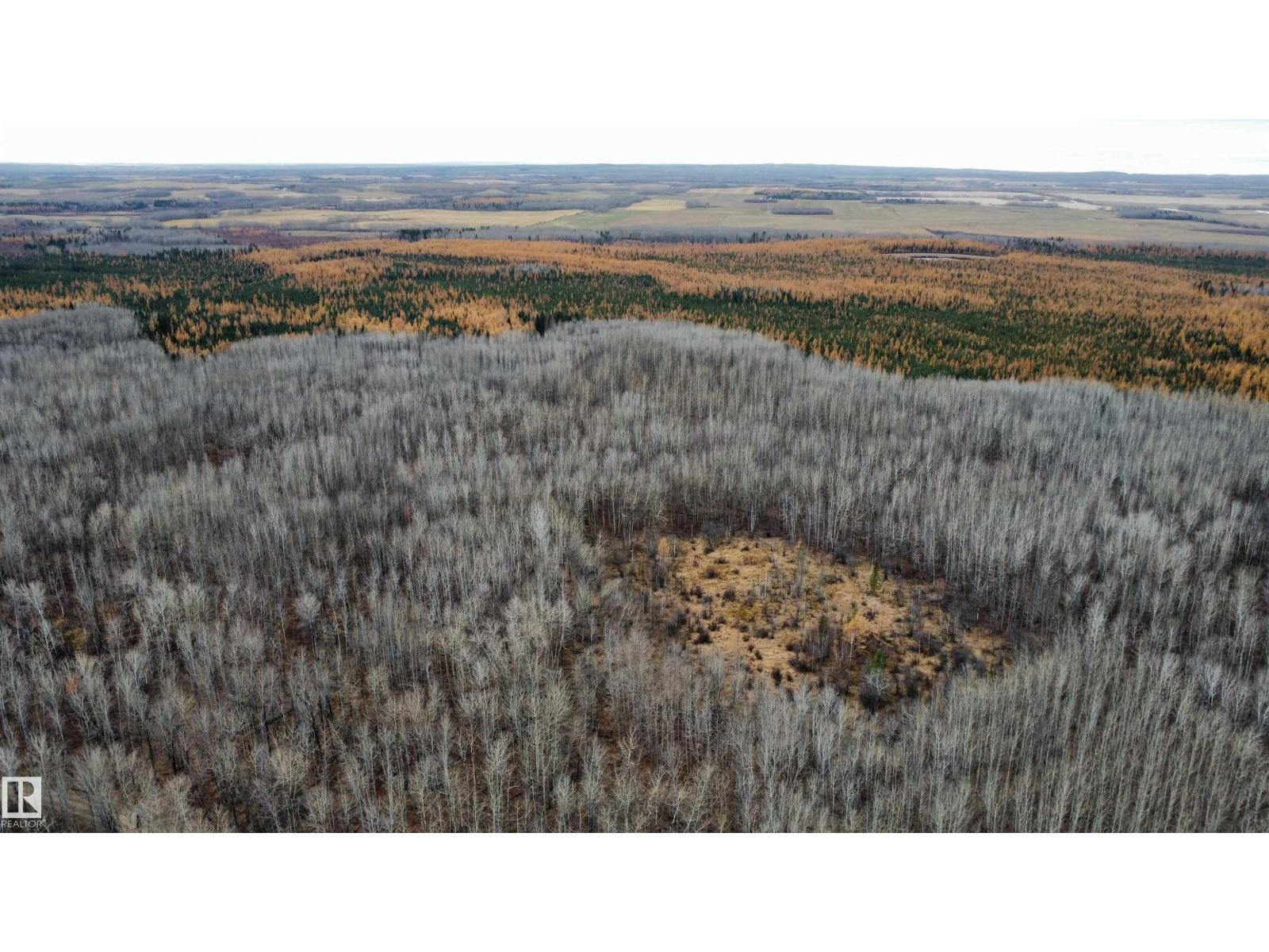 Rr62 W5th: R6: T59 S22 SE, Rural Barrhead County, Alberta  T7N 1N3 - Photo 28 - E4496523