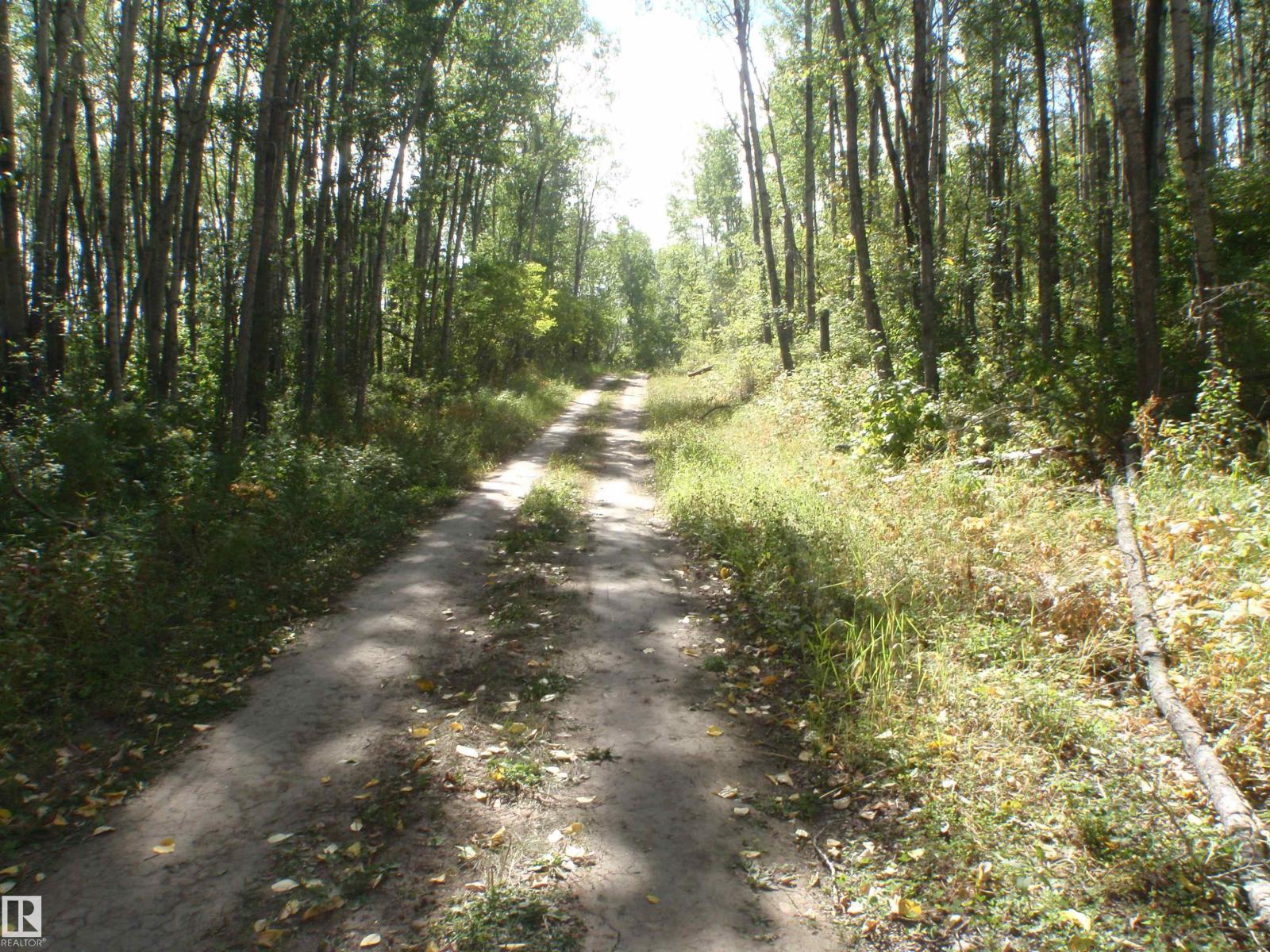 Rr62 W5th: R6: T59 S22 SE, Rural Barrhead County, Alberta  T7N 1N3 - Photo 2 - E4496523
