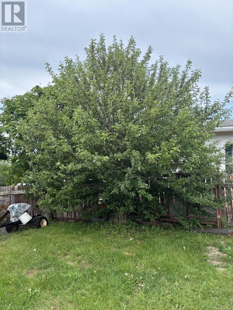 Photo 36