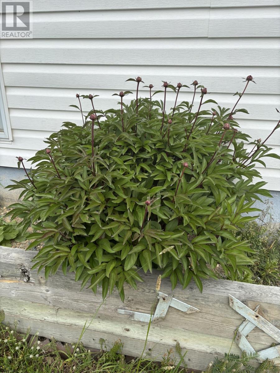 Photo 39