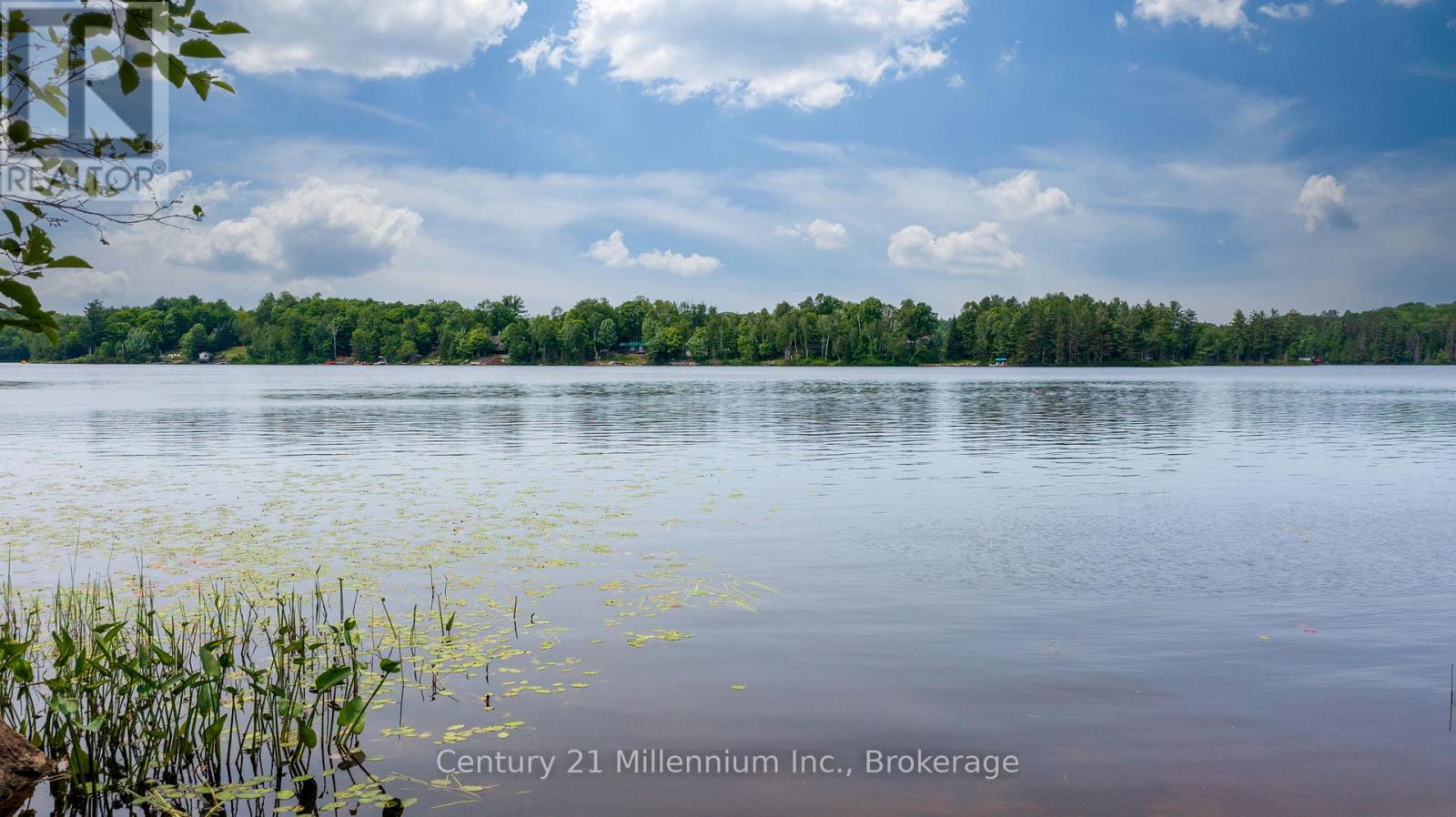 0 Whalley Lake Road, Magnetawan, Ontario  P0A 1P0 - Photo 3 - X13513256
