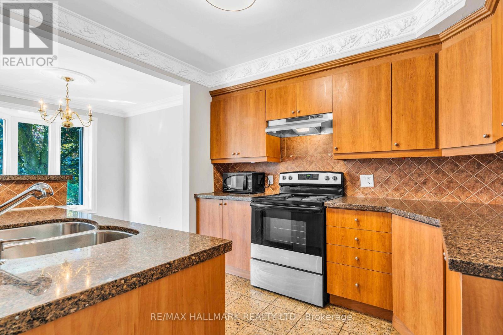 Main - 343 Elmwood Avenue, Richmond Hill, Ontario  L4C 1L7 - Photo 13 - N13513102