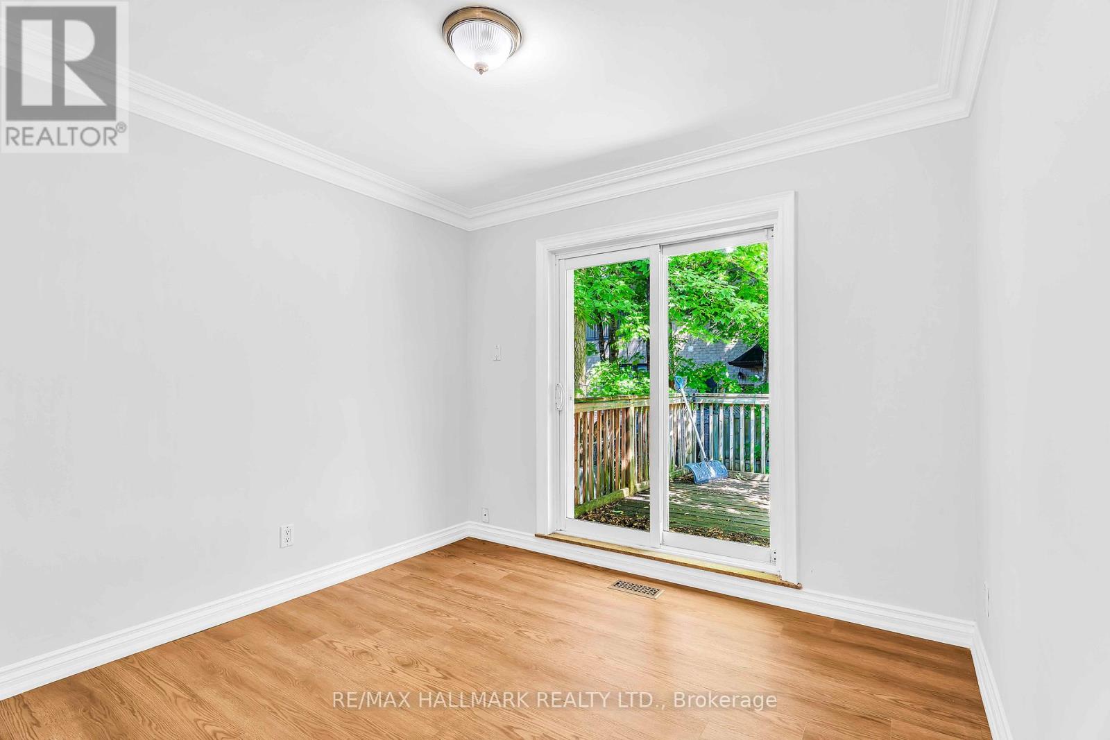 Main - 343 Elmwood Avenue, Richmond Hill, Ontario  L4C 1L7 - Photo 15 - N13513102