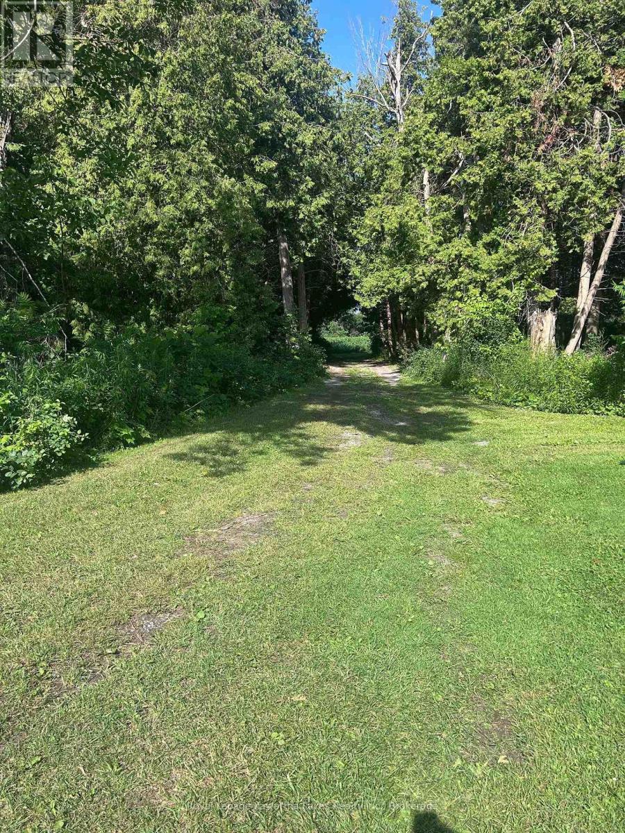 picture 28