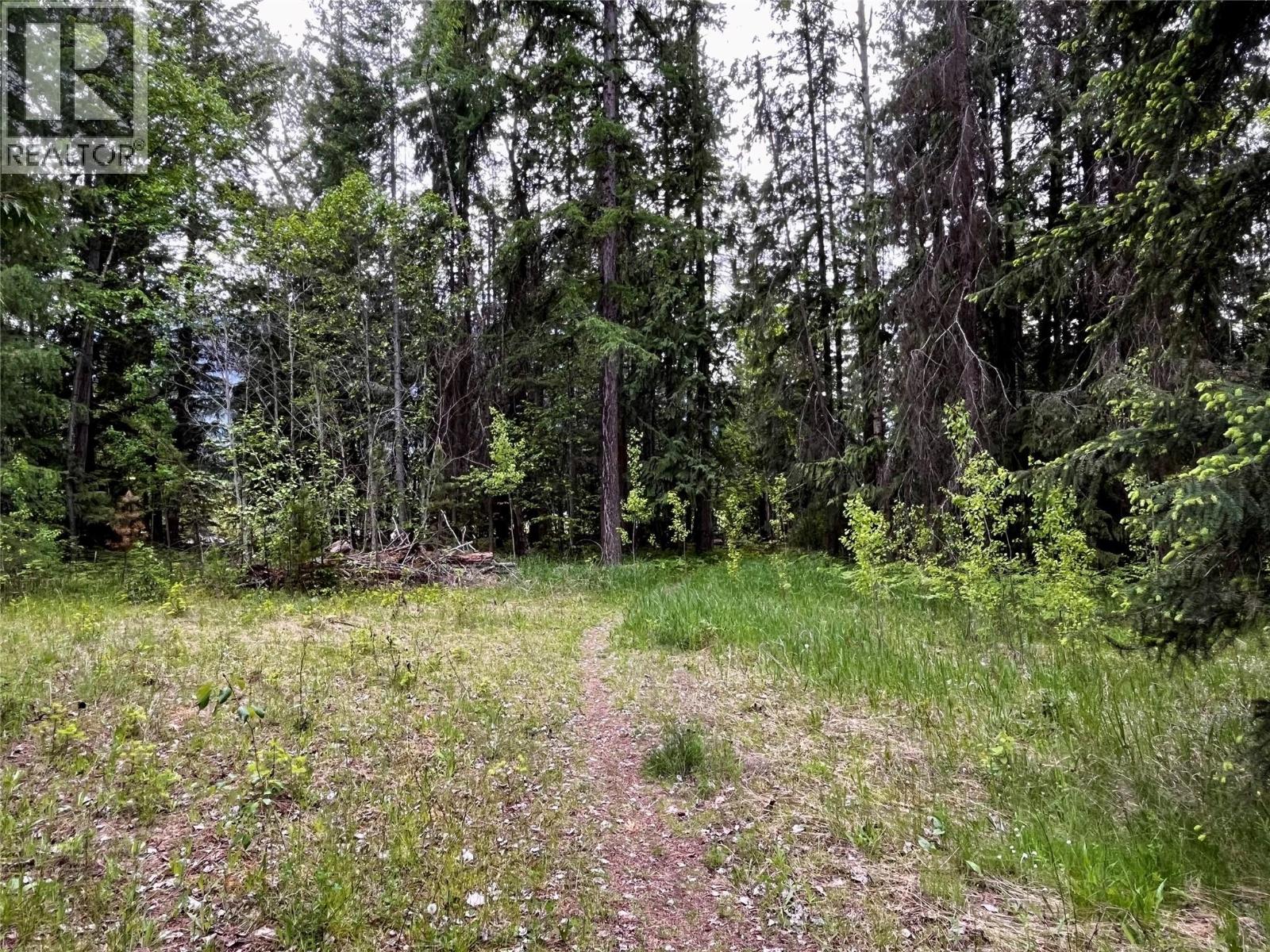 Lot A Mccormack Road, Burton, British Columbia  V0G 1R0 - Photo 33 - 10348053
