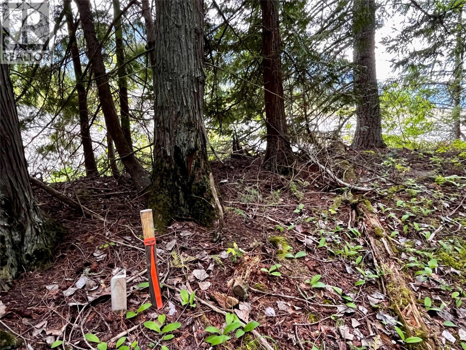 Lot A Mccormack Road, Burton, British Columbia  V0G 1R0 - Photo 34 - 10348053