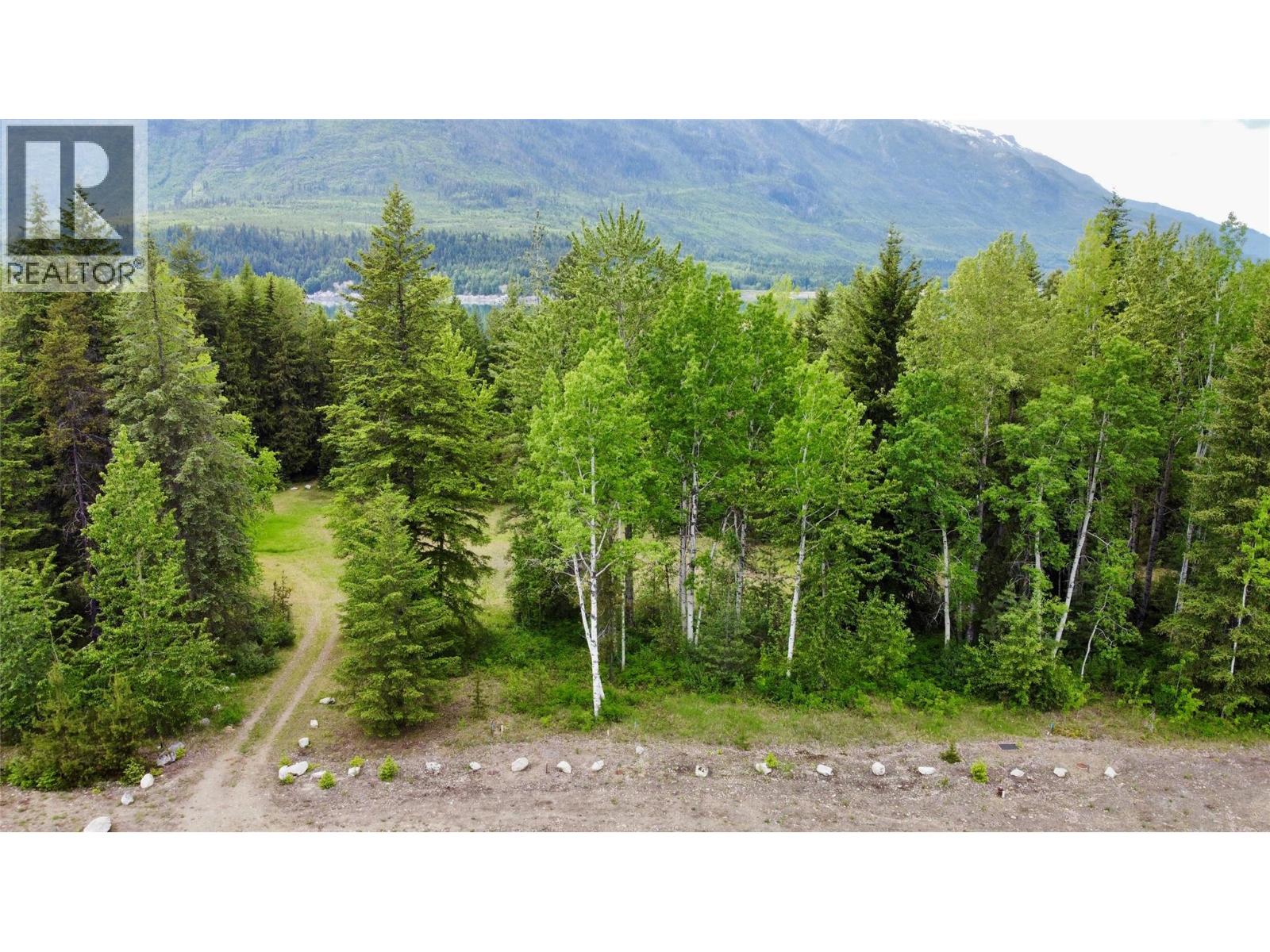 Lot A Mccormack Road, Burton, British Columbia  V0G 1R0 - Photo 15 - 10348053